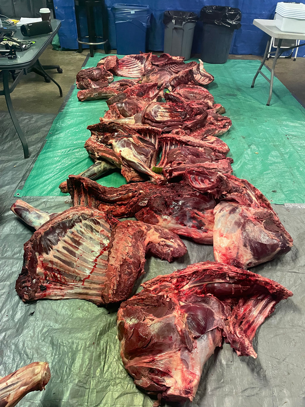 Wild Game Meat Processing